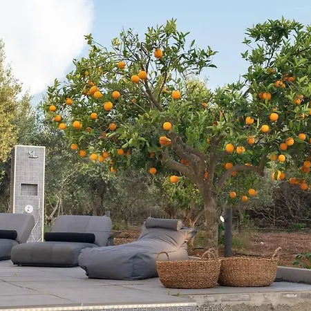 Nyaraló Orange Tree *