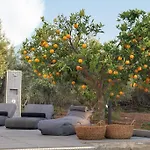 בית נופש Orange Tree *