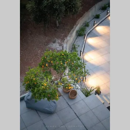 Orange Tree * Porto Heli