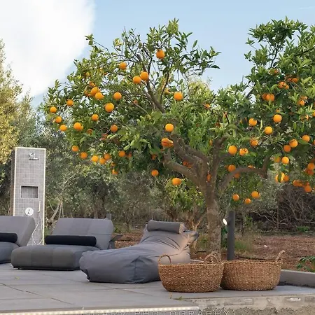 Ferienhaus Orange Tree *