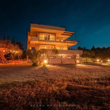 Holiday home Orange Tree