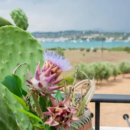 Casa de Férias Orange Tree *