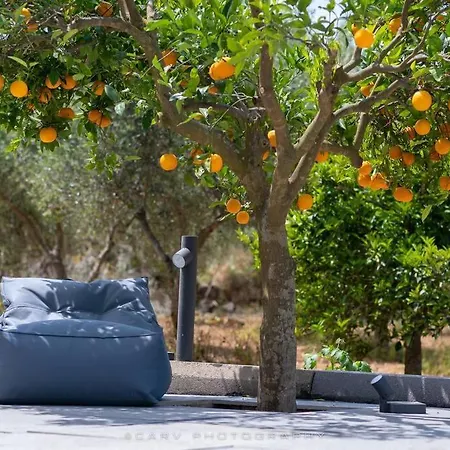 Holiday home Orange Tree *