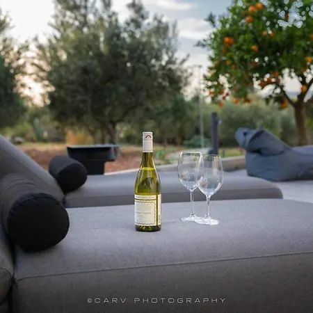 Orange Tree * Porto Cheli