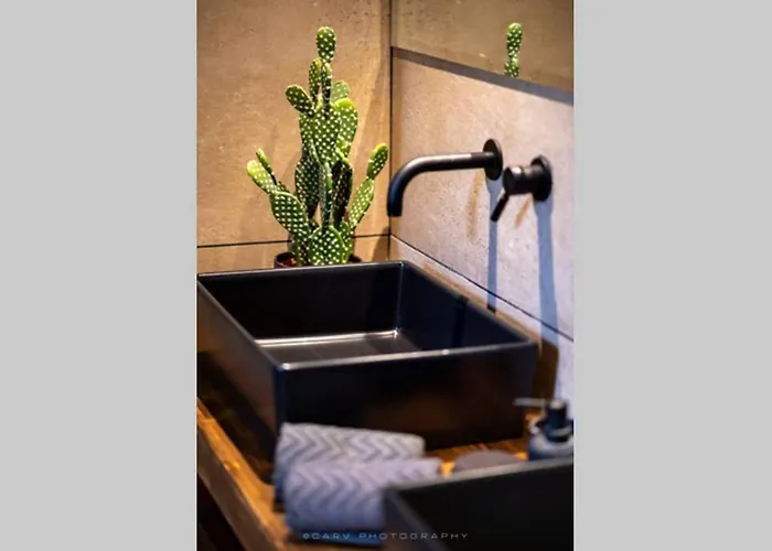 Orange Tree Vakantiehuis *