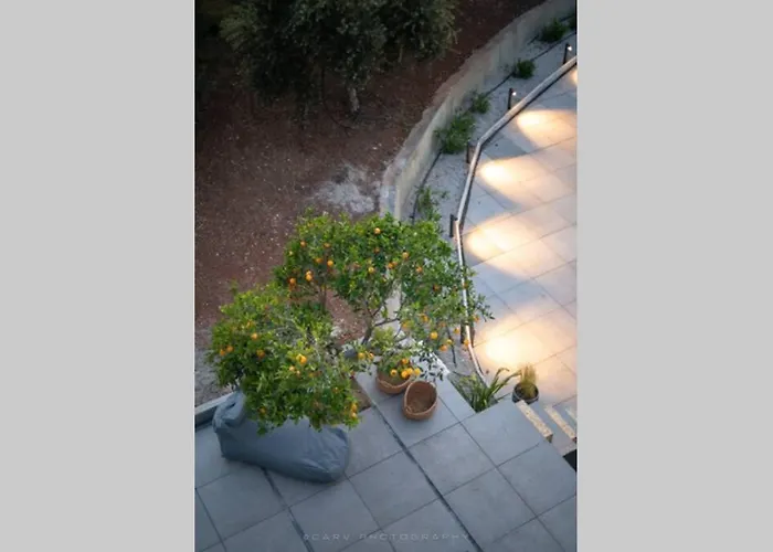 Orange Tree * Porto Cheli