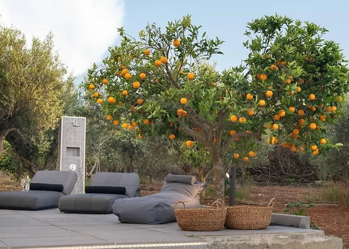 Vakantiehuis Orange Tree *