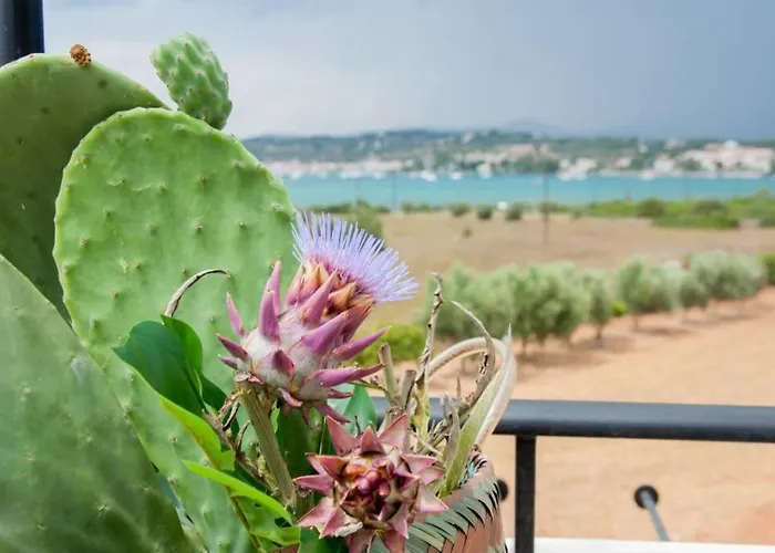 Vakantiehuis Orange Tree *