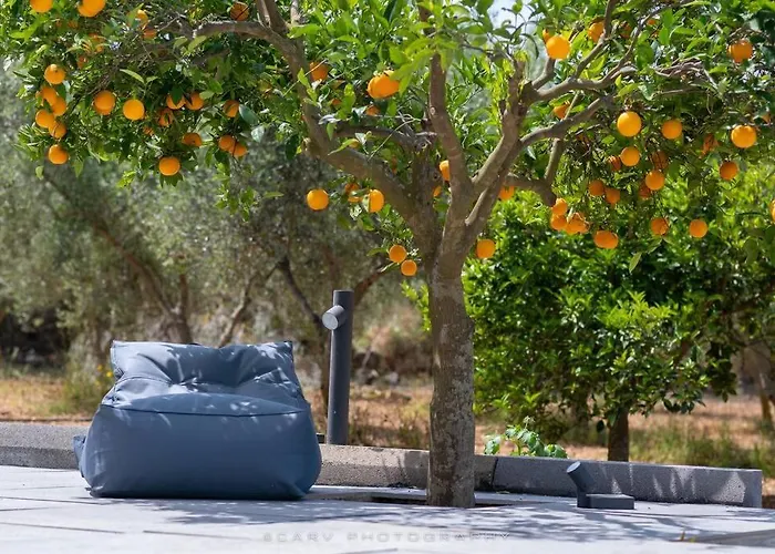 Casa de Férias Orange Tree *