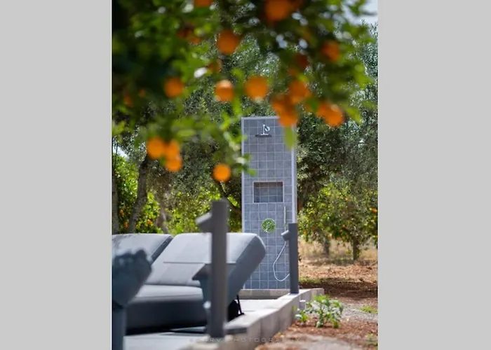 Orange Tree Casa de Férias *