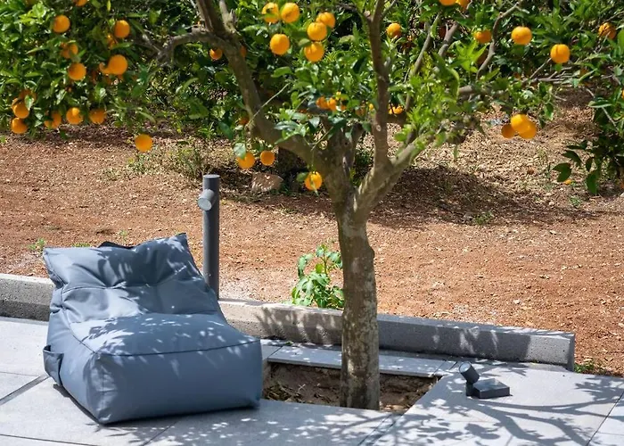 Casa de Férias Orange Tree *