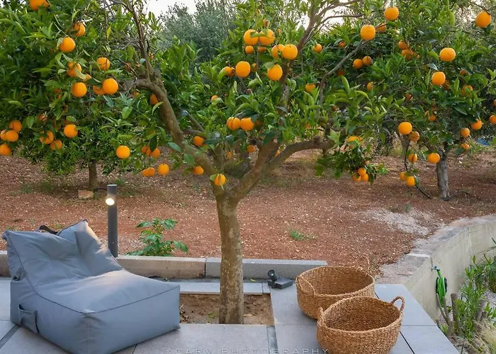Orange Tree Vakantiehuis